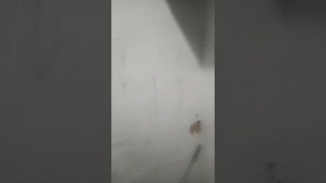 почему нет тяги на печке? #ремонтпечипаровогоотопления смотреть онлайн