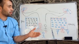 Писар ё духтаршудани фарзанд аз чи вобастаги дорад?