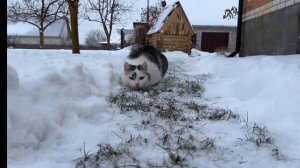 1 часть пою первый снег