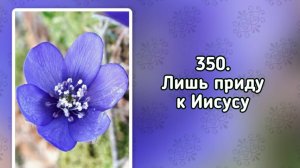 Гимны надежды 350 Лишь приду к Иисусу (-)