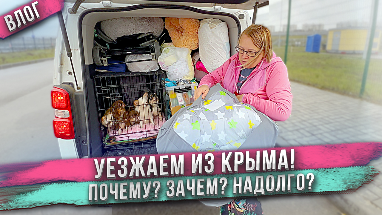 Мы уехали из Крыма! Что случилось?