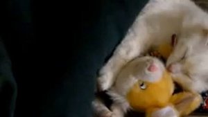 Катя спит,она устала.