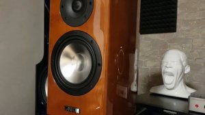 #Canton Reference 9.2 dc .no Subwoofer.