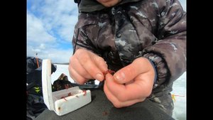 как правильно насаживать мотыля без повреждений или специальная приспособа для мотыля