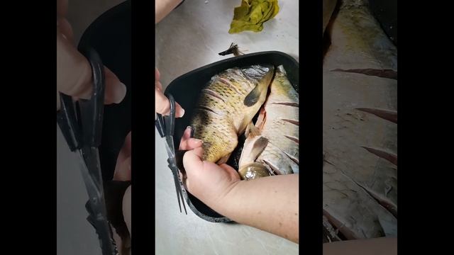 Как разделать и замариновать карпа смотреть онлайн