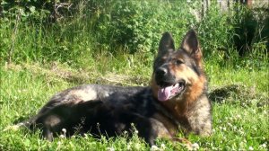 Первая прогулка