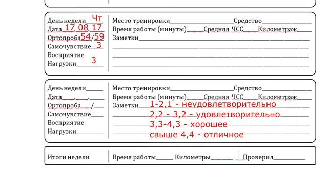Спортулайф. Выпуск №16. Спортивный дневник.