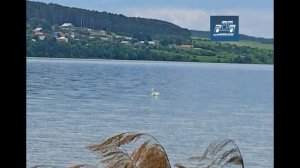 Как выглядит Суксунский пруд / Пермский край Суксун