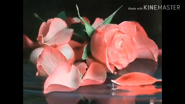 С самым добрым утром, мои самые добрые и любимые ПОДПИСЧИКИ 🌷🌷🌷💋❤01.02.2020 смотреть онлайн