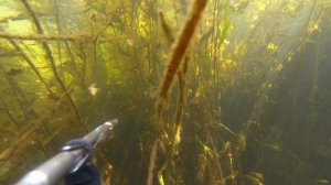 Подводный мир малых и больших рек Оренбургской области часть 1 река Хобда