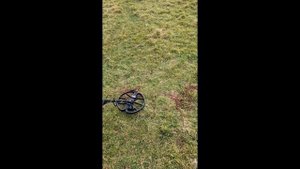 Minelab equinox 900 vs Nokta simplex
