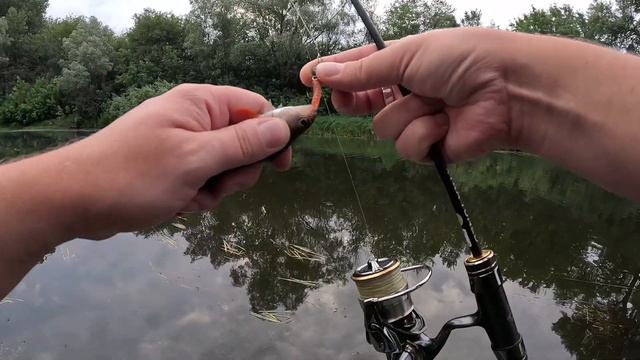 Рыбалка на Ерике Бугроватый 15.07.2023 смотреть онлайн