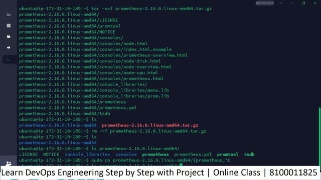 Grafana & Prometheus Monitoring & Alerting Part 2 | Prometheus Server Configuration | 8100011825