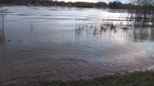 Лесозаводск - далеко, но ведь это город-то нашенский!