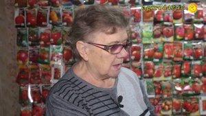 Когда лучше покупать семена?