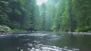 Как жаль,что не бегут обратно реки?