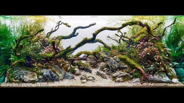 Акваскейп смотреть онлайн