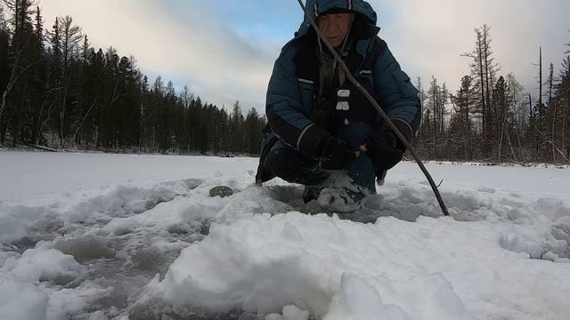 Первый лёд продолжается. Хорошая рыбалка, хорошая рыба.