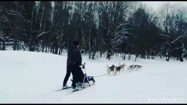 Самый большой в СПБ и России прокат снегоходов, квадроциклов, багги, мотоциклов Snegiki.ru
