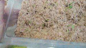 И снова про опилки.На этот раз горох.Спасибо всем!