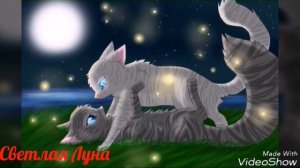 Половинка Луны и Воробей [КОТЫ ВОИТЕЛИ]