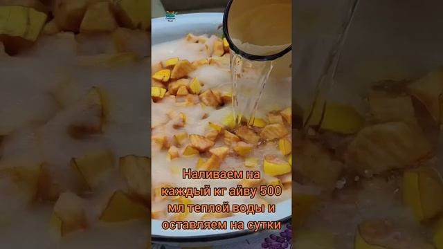 Варенье из айвы на зиму. Heyva mürəbbəsi