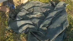 Защита яблонь от грызунов зимой