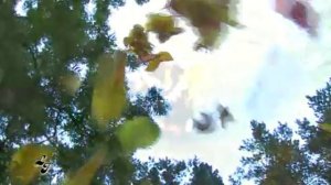 "Лав стори" -  Love Story - Славкурорт, осень 2009 - Вика & Дима