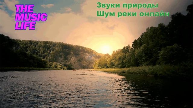 ЗВУКИ ПРИРОДЫ. ШУМ РЕКИ ОНЛАЙН