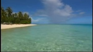 Chris Isaak - Reverie