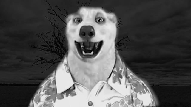 белый медведь Yмер. (последние слова медведя) смотреть онлайн