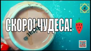 В ВАШУ ЖИЗНЬ ВХОДЯТ ЧУДЕСАПРИНИМАЙТЕ #ответуолятаро #youtubeshorts #youtube