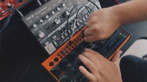 Behringer crave || Behringer Td3 - dub step
