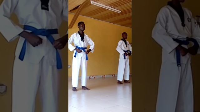 Taekwondo martial art junbi stance looks like these, Watch and Subscribe please.