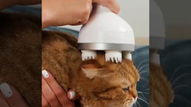 ? УДИВИТЕЛЬНЫЕ ЛАЙФХАКИ И ПОЛЕЗНЫЕ ГАДЖЕТЫ ДЛЯ ДОМАШНИХ ЖИВОТНЫХ смотреть онлайн