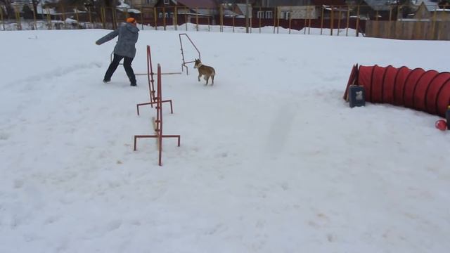 ЭЛИС 4 МЕСЯЦА - АДЖИЛИТИ смотреть онлайн