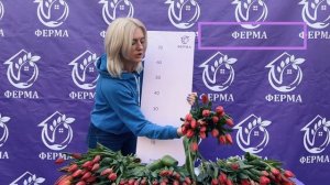 Мини обзор красных тюльпанов