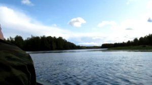 Моторная лодка МКМ Ярославка Sea Pro 9.9 \ Река Сутка ( Приток реки Волги Рыбинское водохранилище )