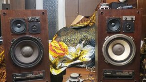Замена динамиков в Амфитон 50ас-022 Текст