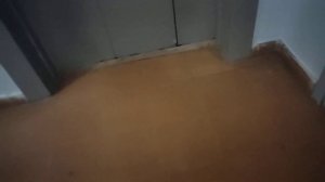 Коричневый лифт МЛМ 2005г. Q=630кг V=1м/с