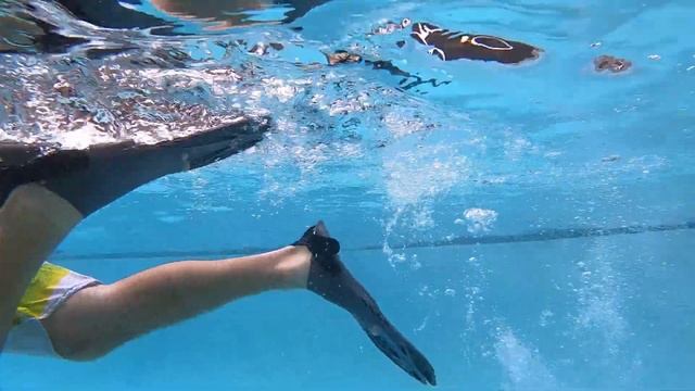 Snorkeling Gear for Beginners ? Best Snorkel Mask Snorkel Gear to get Started смотреть онлайн