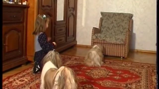 ШИТСУ