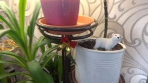 Цветы в моем доме. Комнатные растения. Подставки, полки, стеллажи, подсветка.