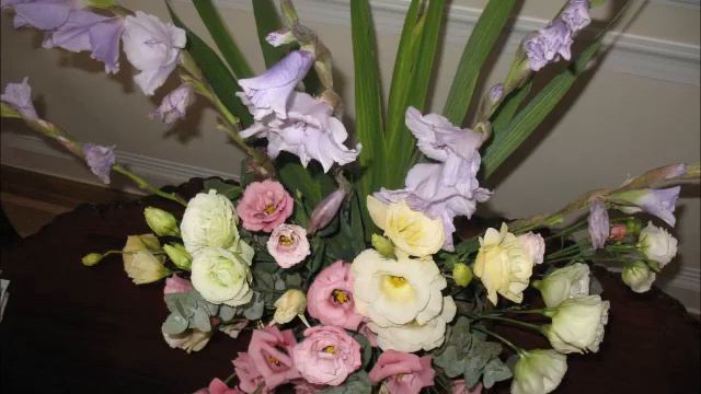 2020 11 13      2012 09 20 Uniwersytet Warszawski w oczach Romana Pałac Kazimierzowski Eustoma  cz