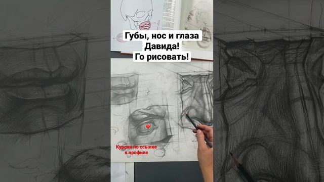 Учимся рисовать #портрет как надо??✊ #рисую#академическийрисунок#анатомия#графика #давид#скетчинг