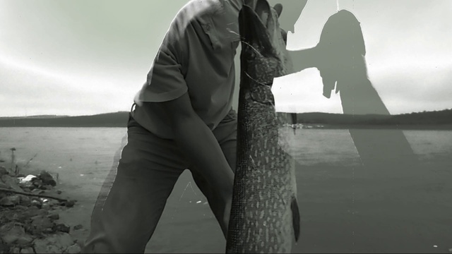 Ловля крупной щуки на живца. смотреть онлайн