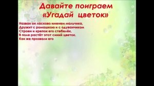 "Луговые и полевые цветы"