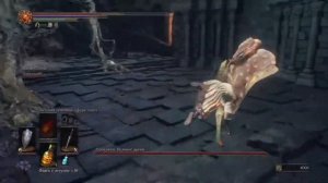 PS5 Dark souls 3