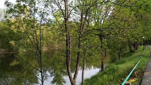 Беседка у дома №20 и берег ерика Осинки смотреть онлайн