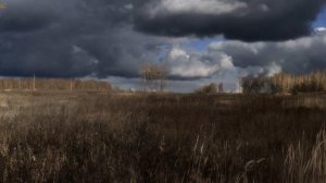 "Отговорила роща золотая". Музыка Г.Пономаренко, слова С.Есенина